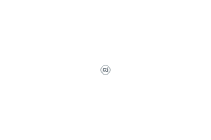 a3
